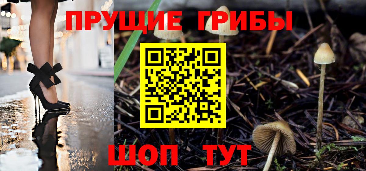 Галлюциногенные грибы мицелий  Вход с VPN  Псилоцибиновые грибы Psilocybe  Великий Устюг 