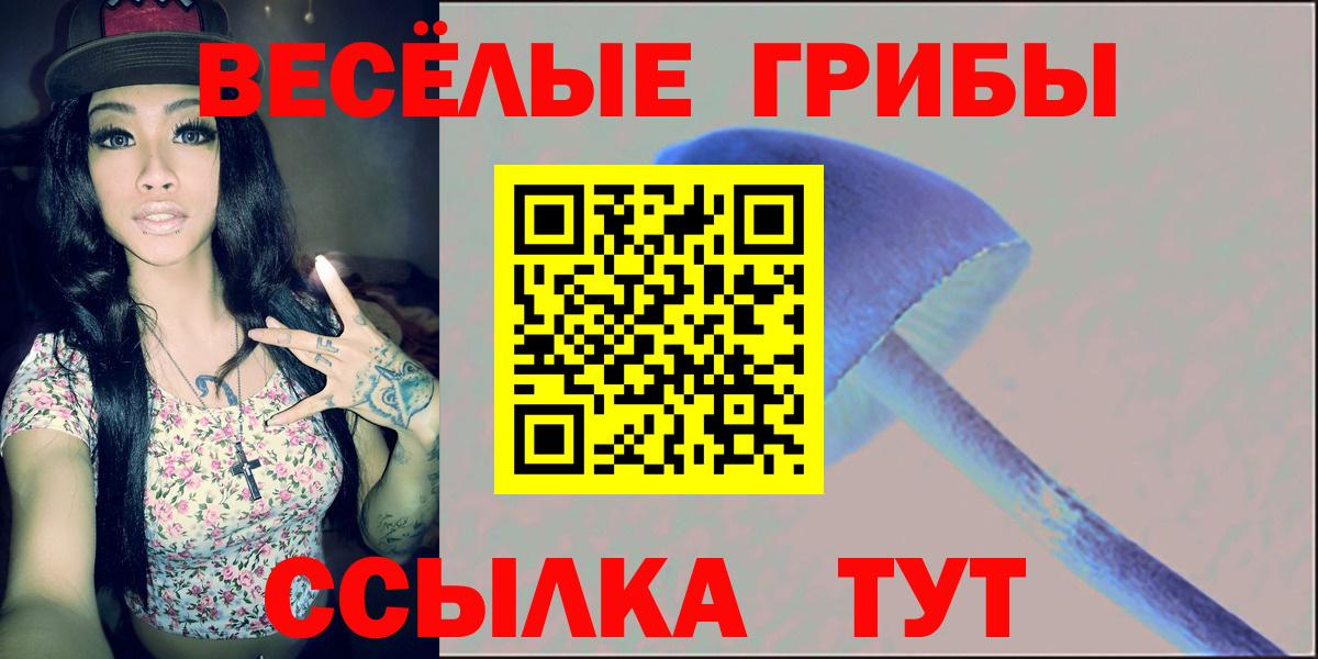 Галлюциногенные грибы мицелий Великий Устюг